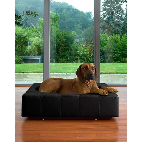 Pet Interiors Cube Genuine Leather Dog Bed-Dog Bed-Pet Interiors- Silver Circle Pets