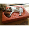 Pet Interiors Cube Genuine Leather Dog Bed-Dog Bed-Pet Interiors- Silver Circle Pets