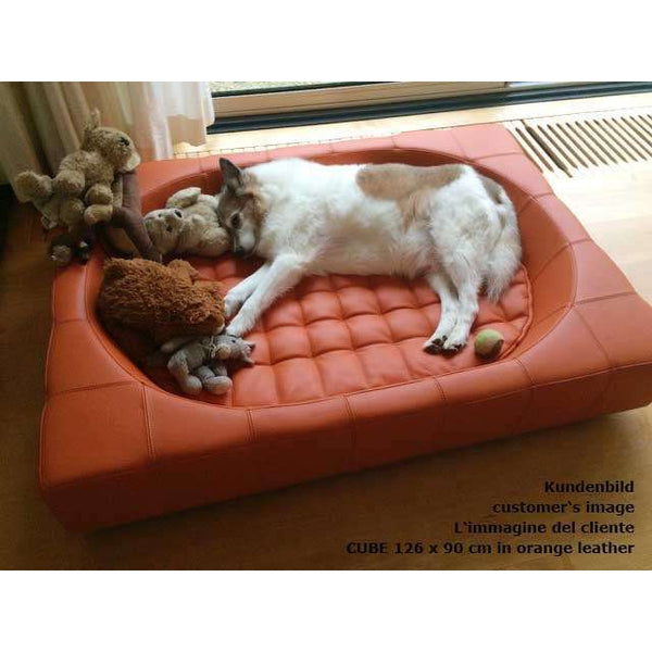 Pet Interiors Cube Genuine Leather Dog Bed-Dog Bed-Pet Interiors- Silver Circle Pets