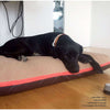 Pet Interiors Dog Cushion with Removable Cover PAULINE-Dog Bed-Pet Interiors- Silver Circle Pets