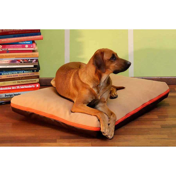 Pet Interiors Dog Cushion with Removable Cover PAULINE-Dog Bed-Pet Interiors- Silver Circle Pets