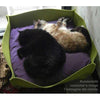 Pet Interiors Felt Cat Basket BOWL-Cat Bed-Pet Interiors- Silver Circle Pets