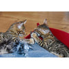 Pet Interiors Felt Cat Basket BOWL-Cat Bed-Pet Interiors- Silver Circle Pets