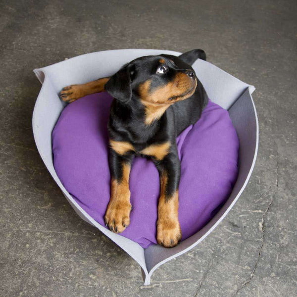 Pet Interiors NOOK Felt Designer Cat Bed-Cat Bed-Pet Interiors- Silver Circle Pets