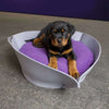 Pet Interiors NOOK Felt Designer Cat Bed-Cat Bed-Pet Interiors- Silver Circle Pets
