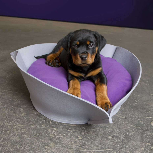 Pet Interiors NOOK Felt Designer Cat Bed-Cat Bed-Pet Interiors- Silver Circle Pets