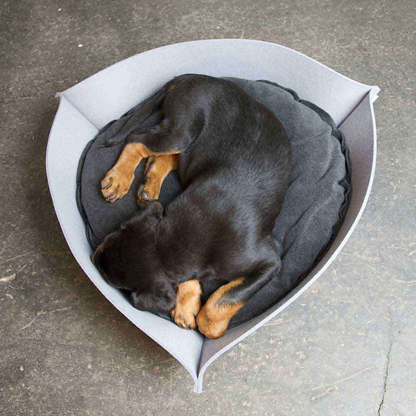 Pet Interiors NOOK Felt Designer Cat Bed-Cat Bed-Pet Interiors- Silver Circle Pets