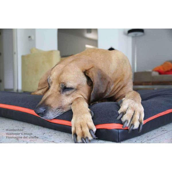 Pet Interiors Orthopedic Dog Mattress & Blanket PAUL-Dog Bed-Pet Interiors- Silver Circle Pets