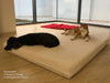 Pet Interiors Orthopedic Dog Mattress MARY-Dog Bed-Pet Interiors- Silver Circle Pets