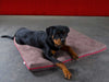 Pet Interiors Orthopedic Dog Mattress MARY-Dog Bed-Pet Interiors- Silver Circle Pets
