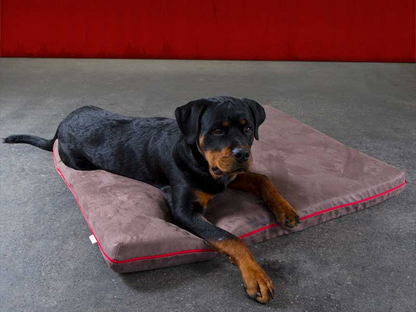 Pet Interiors Orthopedic Dog Mattress MARY-Dog Bed-Pet Interiors- Silver Circle Pets