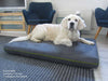 Pet Interiors Orthopedic Dog Mattress MARY-Dog Bed-Pet Interiors- Silver Circle Pets