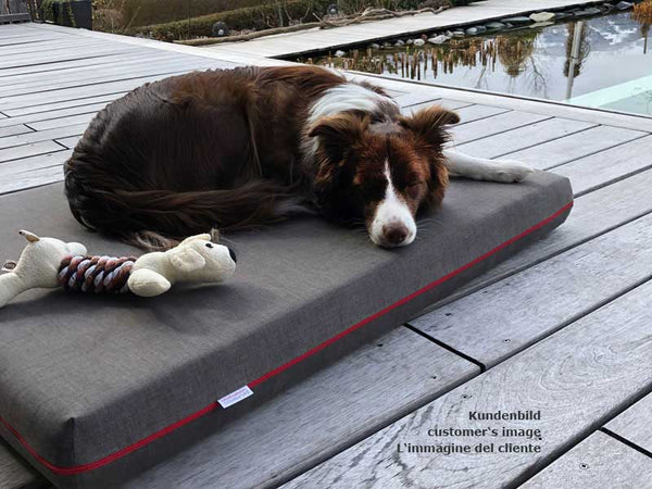 Pet Interiors Orthopedic Dog Mattress MARY-Dog Bed-Pet Interiors- Silver Circle Pets