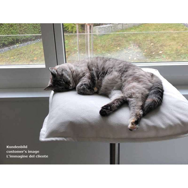 Pet Interiors Poet Designer Cat Bed-Cat Bed-Pet Interiors- Silver Circle Pets