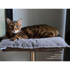 Pet Interiors Poet Designer Cat Bed-Cat Bed-Pet Interiors- Silver Circle Pets