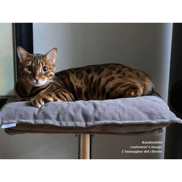Pet Interiors Poet Designer Cat Bed-Cat Bed-Pet Interiors- Silver Circle Pets