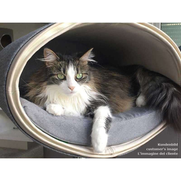 Pet Interiors Rondo Leather Cat Bed Stand-Cat Bed-Pet Interiors- Silver Circle Pets