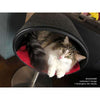 Pet Interiors Rondo Leatherette Cat Bed Stand-Cat Bed-Pet Interiors- Silver Circle Pets
