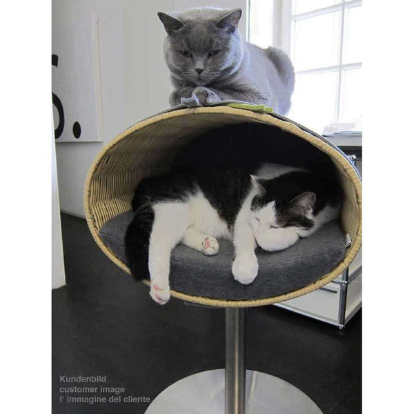 Pet Interiors Rondo Wicker Cat Bed Stand-Cat Bed-Pet Interiors- Silver Circle Pets