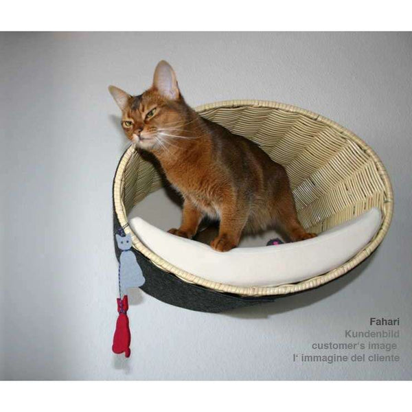 Pet Interiors Rondo Wicker Cat Wall Climber-Cat Bed-Pet Interiors- Silver Circle Pets