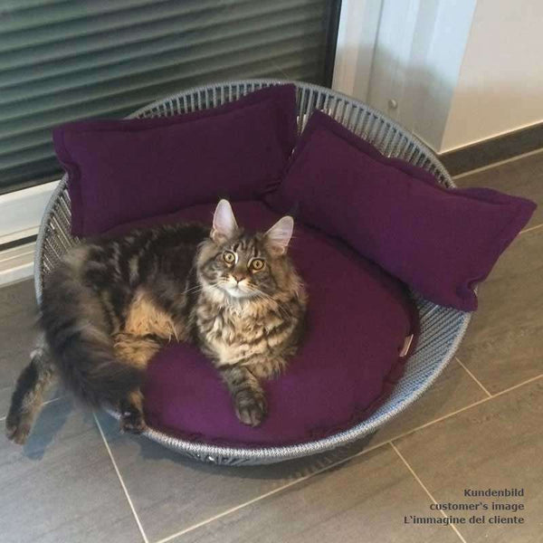 Pet Interiors Unique Cat Basket SIRO Twist-Cat Bed-Pet Interiors- Silver Circle Pets