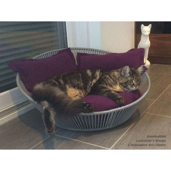 Pet Interiors Unique Cat Basket SIRO Twist-Cat Bed-Pet Interiors- Silver Circle Pets