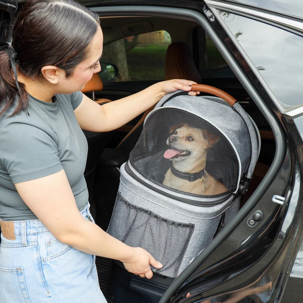 Petique 3-in-1 Tri-Fold Pet Stroller Travel System-Pet Strollers-Petique- Silver Circle Pets