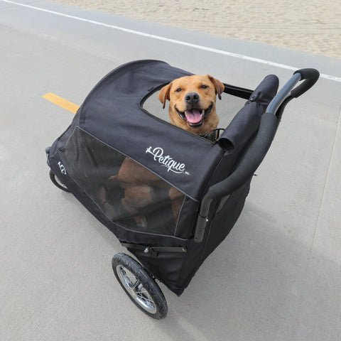 Petique Apollo Elite Pet Stroller & Trailer | Integrated Ramp-Pet Strollers-Petique- Silver Circle Pets