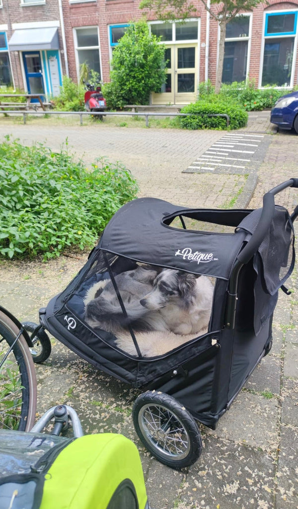 Petique Apollo Elite Pet Stroller & Trailer | Integrated Ramp-Pet Strollers-Petique- Silver Circle Pets
