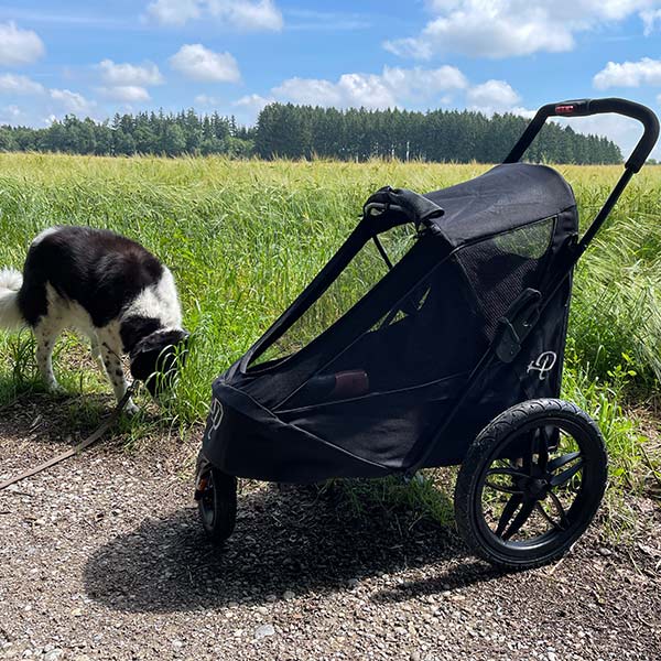 Petique Breeze Pet Jogger Stroller incl. Free Rain Cover & Bike Adapter-Pet Strollers-Petique- Silver Circle Pets
