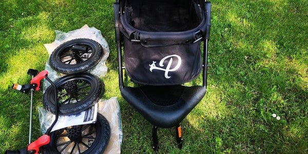 Petique Chinook Pet Stroller incl. Free Rain Cover-Pet Strollers-Petique- Silver Circle Pets