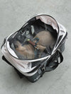 Petique Dynamic 4-in-1 Pet Stroller Travel System-Pet Strollers-Petique- Silver Circle Pets
