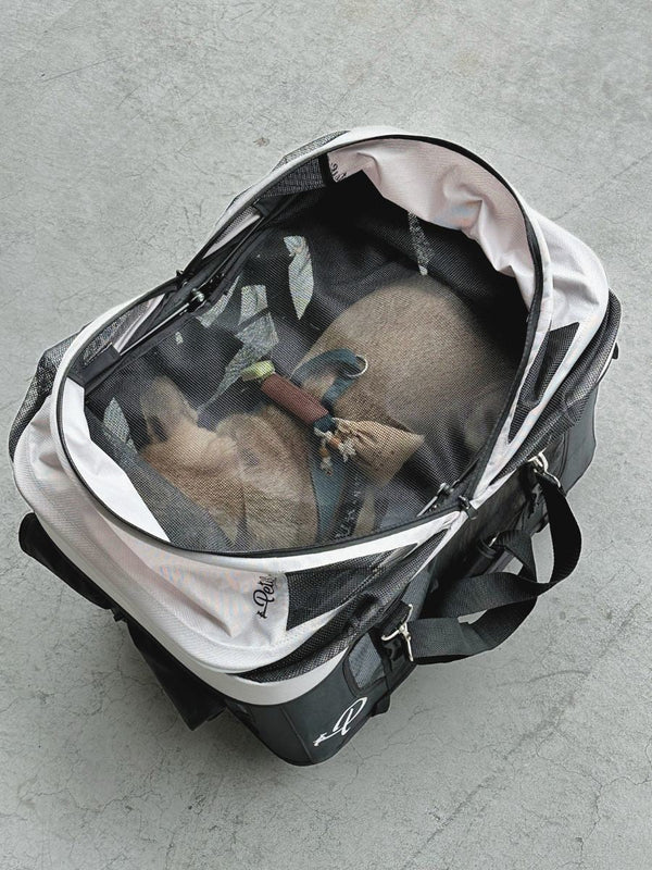 Petique Dynamic 4-in-1 Pet Stroller Travel System-Pet Strollers-Petique- Silver Circle Pets