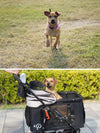 Petique Dynamic 4-in-1 Pet Stroller Travel System-Pet Strollers-Petique- Silver Circle Pets