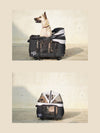 Petique Dynamic 4-in-1 Pet Stroller Travel System-Pet Strollers-Petique- Silver Circle Pets