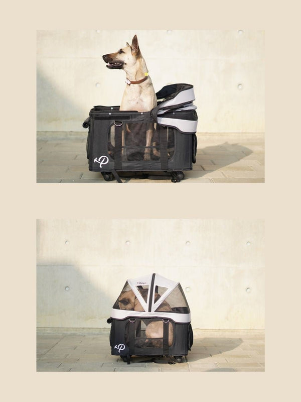 Petique Dynamic 4-in-1 Pet Stroller Travel System-Pet Strollers-Petique- Silver Circle Pets