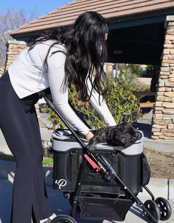 Petique Dynamic 4-in-1 Pet Stroller Travel System-Pet Strollers-Petique- Silver Circle Pets