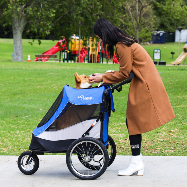 Petique Trailblazer Pet Stroller & Dog Bike Trailer incl. Free Rain Cover + Tow Bar-Pet Strollers-Petique- Silver Circle Pets
