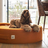 PillowVilla Casentino Wool Dog Bed CUDDLY BEAN-Dog Bed-PillowVilla- Silver Circle Pets
