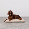 PillowVilla Luxury Dog Mattress PILLOW-Dog Bed-PillowVilla- Silver Circle Pets