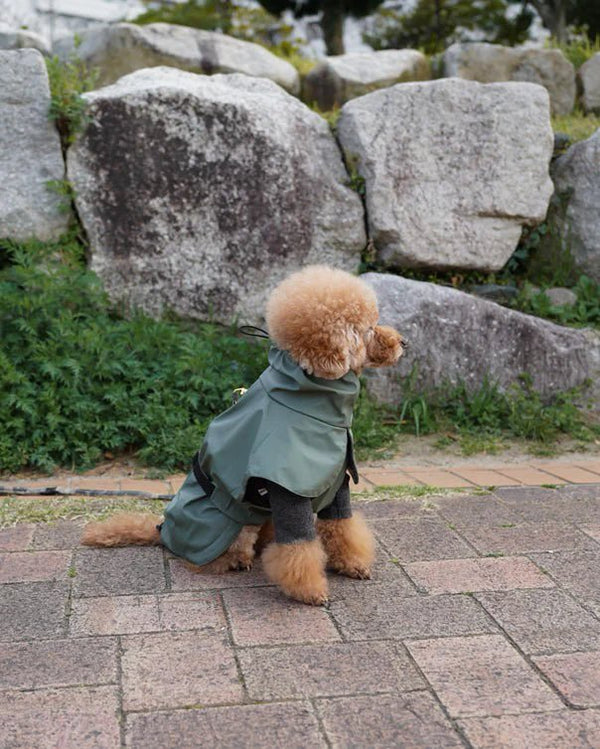 Tadazhi Dog Raincoat-Dog Raincoat-Tadazhi- Silver Circle Pets