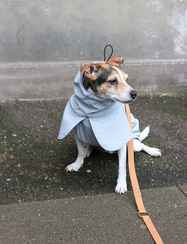 Tadazhi Dog Raincoat-Dog Raincoat-Tadazhi- Silver Circle Pets