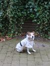 Tadazhi Dog Raincoat-Dog Raincoat-Tadazhi- Silver Circle Pets