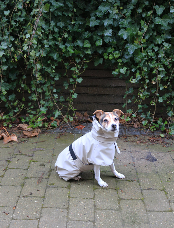 Tadazhi Dog Raincoat-Dog Raincoat-Tadazhi- Silver Circle Pets