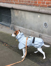 Tadazhi Dog Raincoat-Dog Raincoat-Tadazhi- Silver Circle Pets