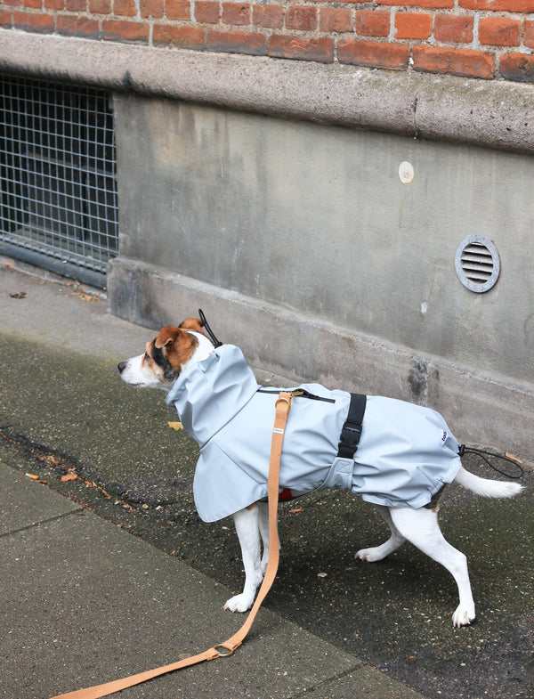 Tadazhi Dog Raincoat-Dog Raincoat-Tadazhi- Silver Circle Pets
