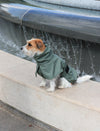 Tadazhi Dog Raincoat-Dog Raincoat-Tadazhi- Silver Circle Pets