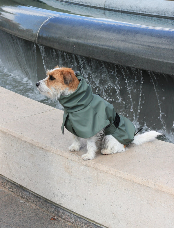 Tadazhi Dog Raincoat-Dog Raincoat-Tadazhi- Silver Circle Pets