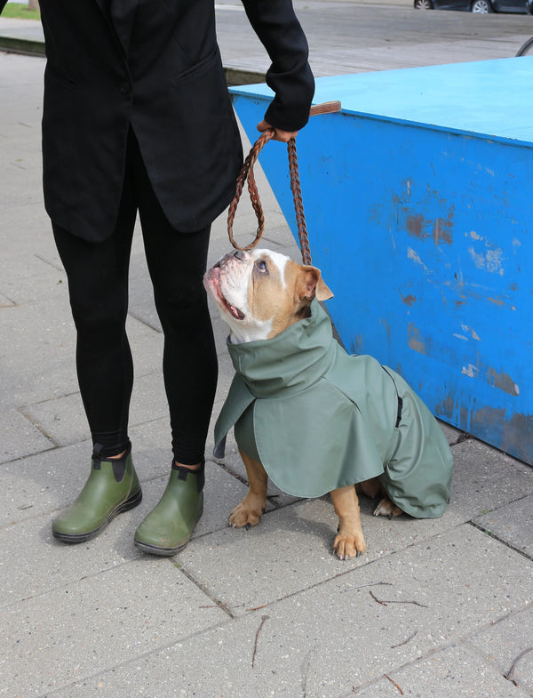 Tadazhi Dog Raincoat-Dog Raincoat-Tadazhi- Silver Circle Pets