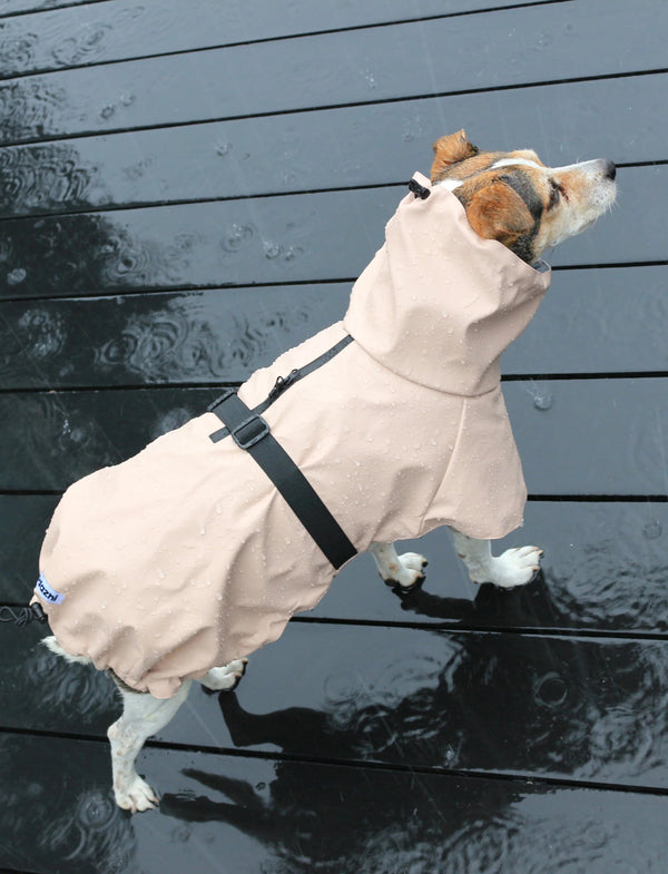 Tadazhi Dog Raincoat-Dog Raincoat-Tadazhi- Silver Circle Pets